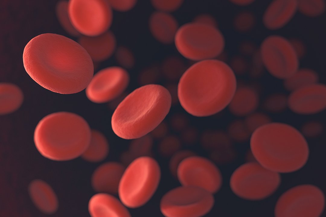 Vörösvérsejtek