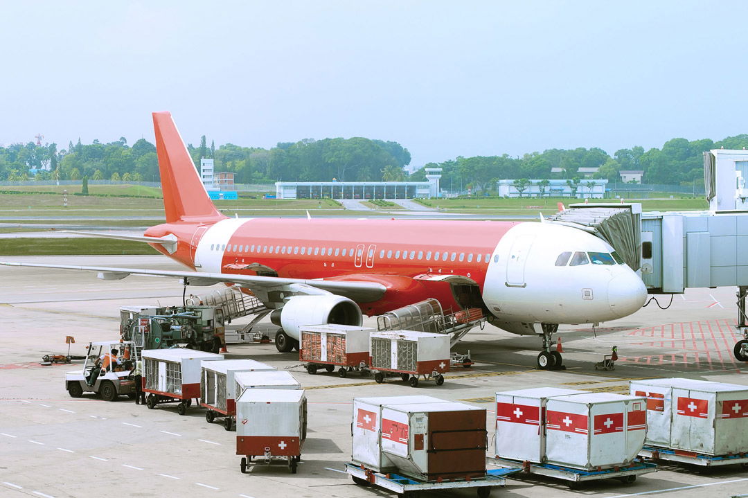 Can you fly with a broken neck?