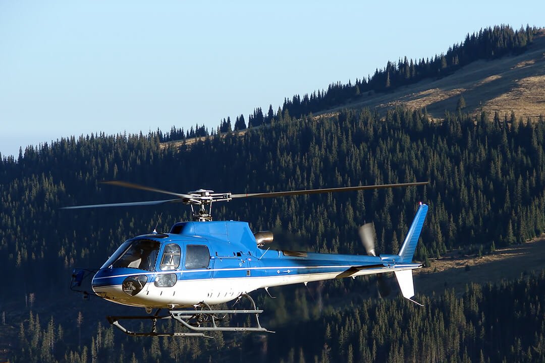 Helikopter fliegt über ein Waldgebiet