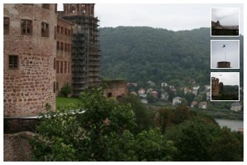 At the manor in Heidelberg