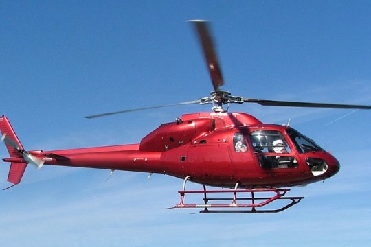Diskreter Hubschrauberflug für Adelsvertreter